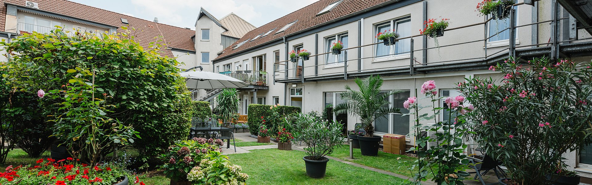 Dachgarten Dachgarten